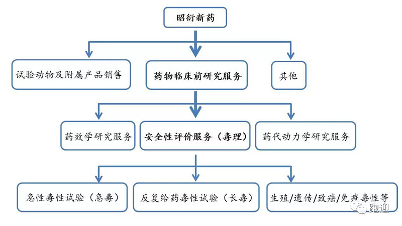 新药安全评价